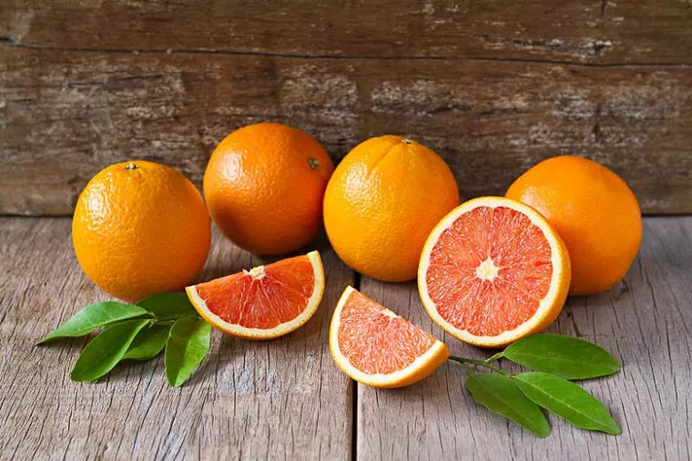 Citrus sinensis 'Cara Cara' (pupok pomaranč)