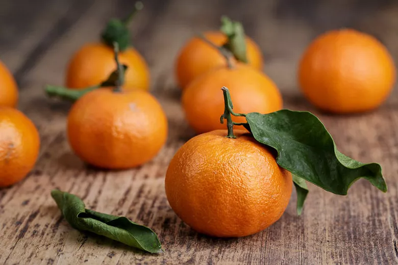 Citrus Clementine (Clementine)