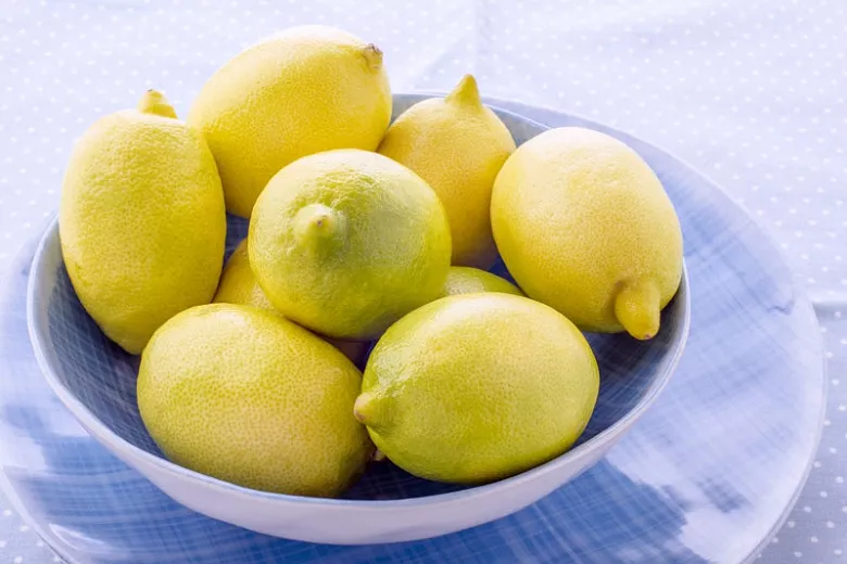 Citrus x limon 'Eureka' (citrón)